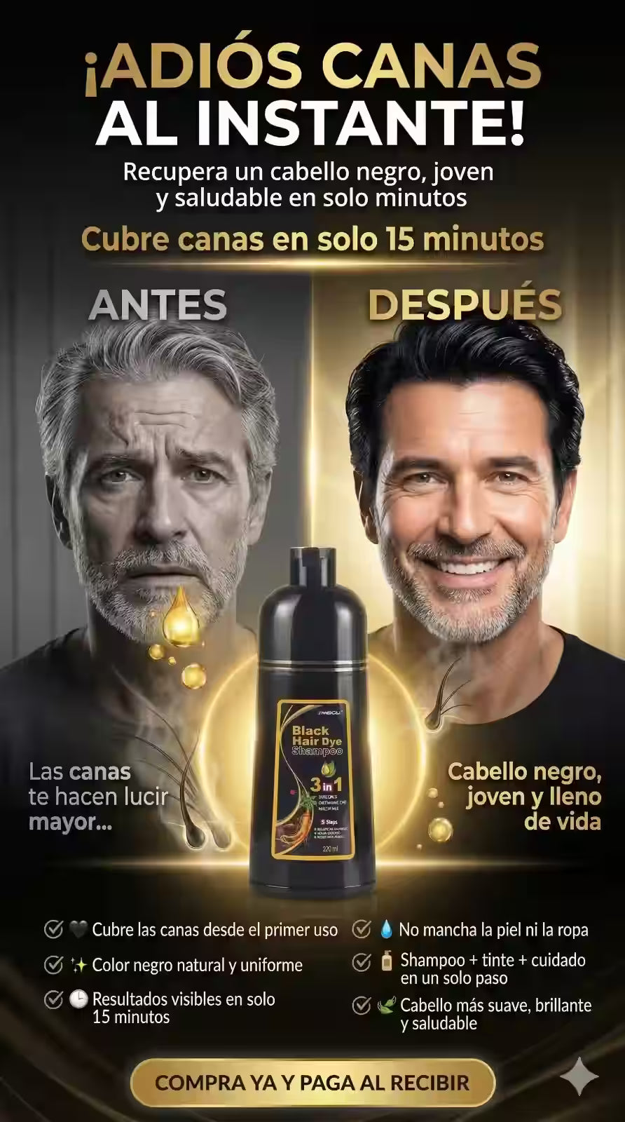 Shampoo Tinte Negro 500 ml